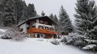 Almhaus Anita during the winter