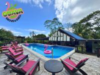 Una piscina con tumbonas y flamencos rosados en Guava Grove Resort &amp; Villas, en Sandy Bay