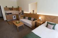 Kuchyň nebo kuchyňský kout v ubytování Karlova 25 Apartments