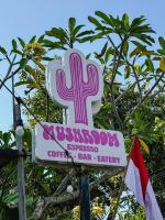 Certifikát, hodnocení, plakát nebo jiný dokument vystavený v ubytování El Campo Mushroom