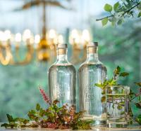 The Feel Munnar Resort في مونار: زجاجتان موضوعتان على طاولة عليها نباتات