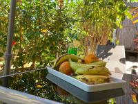 Un tazón de plátanos y otras frutas sobre una mesa. en Villa Sylkomba 1, en Nosy Komba