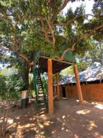 una casa en un árbol con una escalera en un árbol en Yala Wild Tree House, en Hambantota
