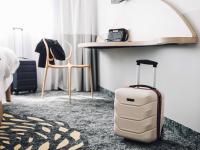 ナンシーにあるibis Styles Nancy Laxouのスーツケースが備わる客室です。