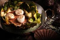 Jídlo v hotelu nebo okolí