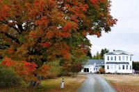 a road leading to a white house and a tree at The Parrsboro Mansion Inn in Parrsboro