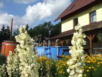 Zahrada ubytování Apartments Večerník Rokytnice