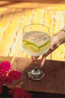 una persona sosteniendo un vaso de agua con una lima en Casa Chapolin Boutique Guesthouse, en Palomino