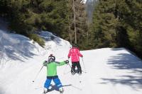 two people are skiing down a snow covered slope at Der Perweinhof in Donnersbachwald