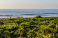 einen Strand mit Pflanzen und dem Ozean im Hintergrund in der Unterkunft The Resort on Cocoa Beach in Cocoa Beach