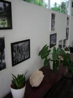 Villa Giacomelli Samui في Nathon Bay: نباتان يجلسان على طاولة في غرفة