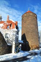 Půdorys ubytování Altstadt-Hotel