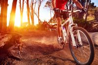 Jazda na bicykli v okolí ubytovania Malinowy Dwór Hotel Medical SPA