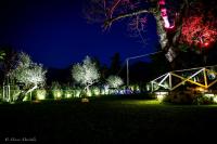 Vonkajšia záhrada v ubytovaní Hotel Pina Ristorante