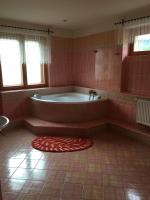 Koupelna v ubytování Apartmány PEMI Potštejn