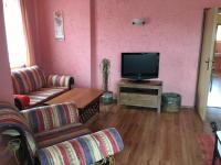 TV a/nebo společenská místnost v ubytování Apartmány PEMI Potštejn