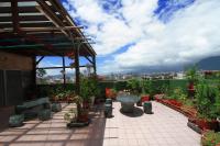a patio with potted plants on a roof at Love in Hualien B&amp;B in Hualien City