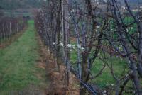 Agriturismo Val di Nappoの見取り図または間取り図