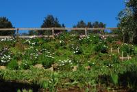 Agriturismo Val di Nappoにある庭