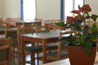 een potplant op een houten tafel bij Quinta das Águas Hotel in Itapira