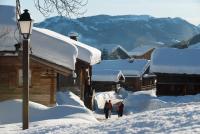 Gallery image of Studio Beauregard in Le Grand-Bornand