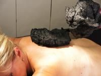 Hosté ubytování LD PALACE Spa & Kur