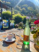 Příroda nedaleko penzionu