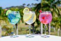 drie wijnglazen gevuld met drankjes in verschillende kleuren op een tafel bij Villa 2527 San Lameer in Southbroom