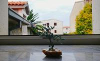 Plán poschodí v ubytovaní Apartment Sunce
