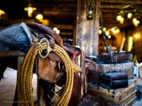 primo piano di un cavallo con una corda di Tipi Indien insolite au Far west a Grimaud