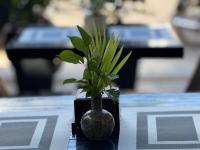 een vaas met een plant erin zittend op een tafel bij SOMA Villa in Phumĭ Réach Born