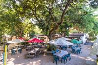 Vườn quanh Vanilla Village Bohemian House