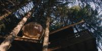 a orb sitting on top of a tree at Cabane entre terre et ciel in Saint-Nicolas-la-Chapelle