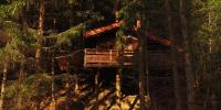 a tree house in the middle of a forest at Cabane entre terre et ciel in Saint-Nicolas-la-Chapelle