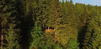 an overhead view of a forest of trees at Cabane entre terre et ciel in Saint-Nicolas-la-Chapelle