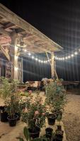 een paviljoen met potplanten en verlichting bij Amazing Mountain Camping, Bar&Grill in Ban Pang Hai