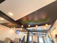 una stanza con soffitto con piante di Hotel Las Vegas a Matamoros