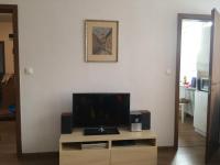Televízia a/alebo spoločenská miestnosť v ubytovaní Apartman Elena