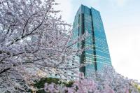 Tokyo Roppongi Guide 2026: Art, Nightlife and Top Dining in Depth