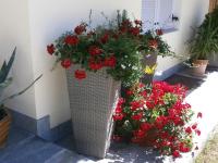 Vonkajšia záhrada v ubytovaní Garni Hattlerhof B&B