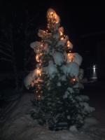 a christmas tree decorated with lights in the snow at Ferienwohnung Familie Wieser in Altenmarkt im Pongau