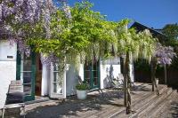 un árbol con flores púrpuras en una terraza de madera en Karnelund Krog &amp; Rum, en Simrishamn