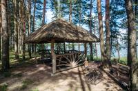 a gazebo with a straw hut in the woods at Park Hotel Borvikha in Pilichki