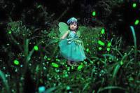 a little girl dressed as a fairy in the grass at Natural Residence B&amp;B in Tai&#39;an