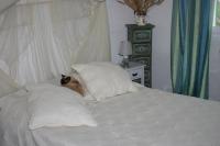 a cat laying on top of a bed with pillows at La Figalie in Saint Jean du Pin