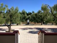 A garden outside Tenuta Montincello