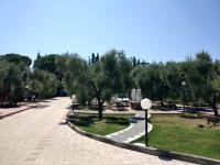 A garden outside Tenuta Montincello