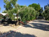 A garden outside Tenuta Montincello