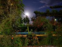 A garden outside Summer Lodge