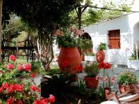 A garden outside Summer Lodge